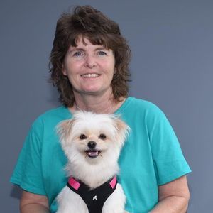 Meet your Posher, Barbara